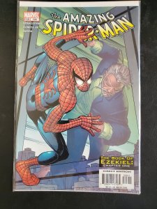 The Amazing Spider-Man #506 (2004)
