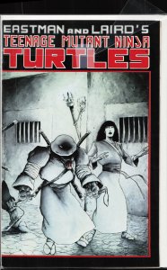 Teenage Mutant Ninja Turtles #17 (1988)