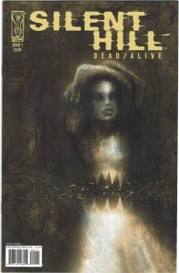 Silent Hill: Dead/Alive #1 Steve Perkins Variant IDW NM