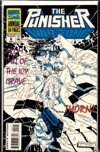 The Punisher War Zone Annual #2 (1994) Punisher