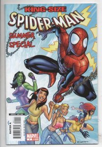 SPIDER-MAN #1, King Size Summer Special, NM-, 2008, Amazing,