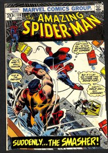 The Amazing Spider-Man #116 (1973)