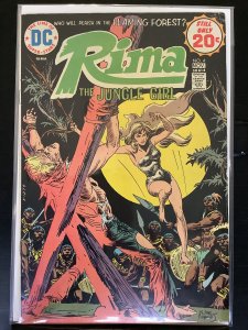 Rima, the Jungle Girl #4 (1974)