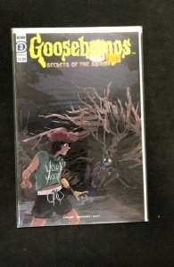 Goosebumps: Secrets of the Swamp #3 (2020)
