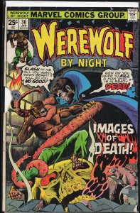 Werewolf by Night #36 (1976) Werewolf by Night