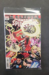 The Amazing Spider-Man #67 (2025)