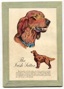 Lassie #27  1956 - Dell  -VG - Comic Book