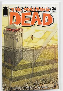 The Walking Dead #36 (2007) The Walking Dead