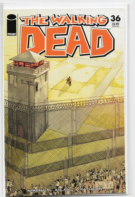 The Walking Dead #36 (2007) The Walking Dead