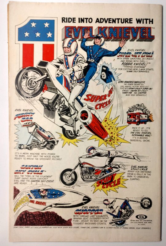 The Amazing Spider-Man #165 (6.0, 1977) X2