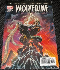 Wolverine: The End #6 (2004)