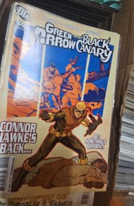 Green Arrow/Black Canary #14 (2009)