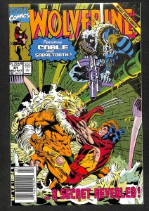 Wolverine #41 (1991)