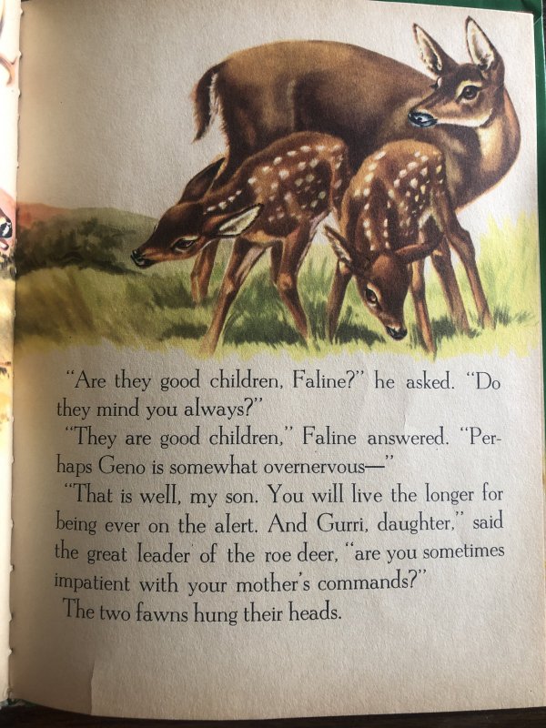 Bambi’s children by wonder book 1951