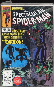 The Spectacular Spider-Man #163 (1990) Spider-Man