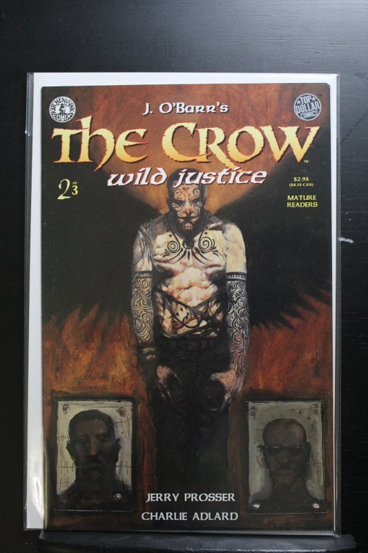 The Crow: Wild Justice #2 (1996)