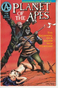 Planet of the Apes #14 (1991)