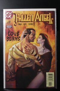 Fallen Angel #12 (2004)