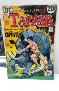 Edgar Rice Burroughs' Tarzan #212 (1972)