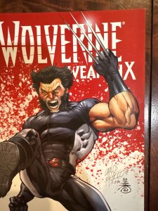 Wolverine Weapon X #5 Pacheco Cover (2009)