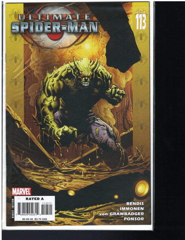 Ultimate Spider-Man #113 (Marvel, 2007)