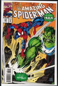 The Amazing Spider-Man #381 (1993) Spider-Man