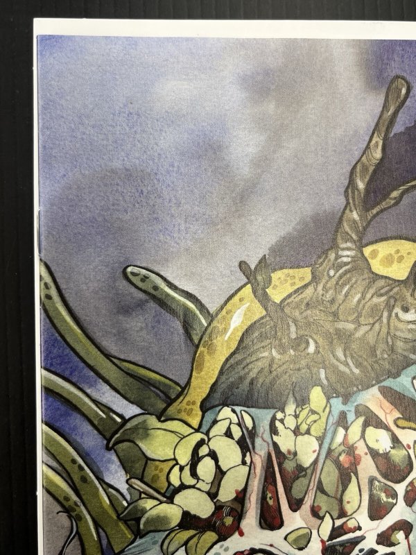 TWIG #5 CVR E 1:25 PEACH MOMOKO 2022 NM IMAGE COMICS IN-HAND PROSHIPPER