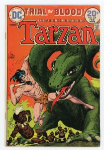 Edgar Rice Burroughs' Tarzan #228 Joe Kubert FN+