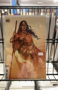 Wonder Woman #73 Variant Cover (2019)