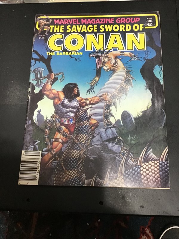 The Savage Sword of Conan #65 (1981) Gil Kane Masterpiece! High-Grade! VF/NM Wow