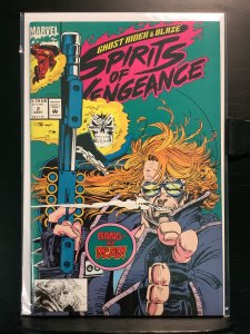 Ghost Rider/Blaze: Spirits of Vengeance #2 Direct Edition (1992)