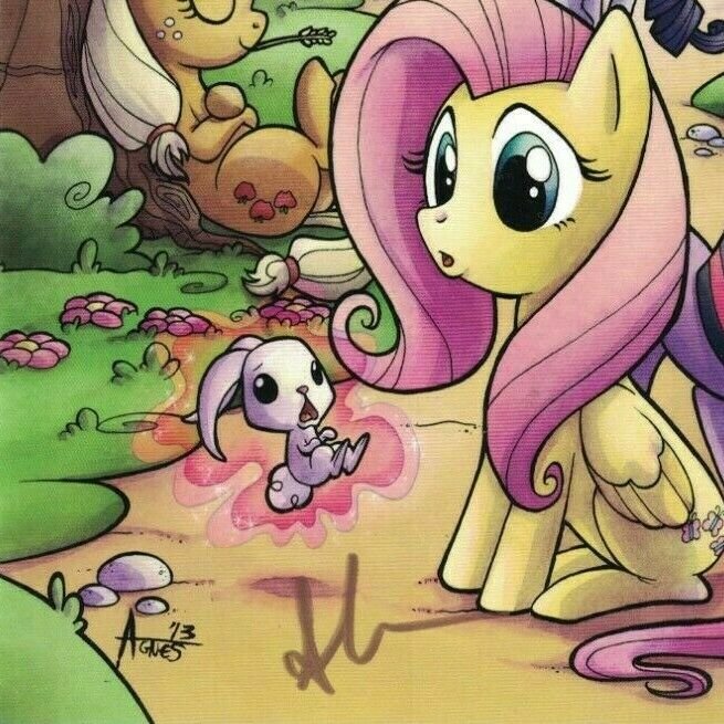My Little Pony Friendship Is Magic #6 signed boston comic con retailer exclusive