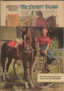 National Velvet #207 ORIGINAL Vintage 1962 Dell Comics Photo Cover