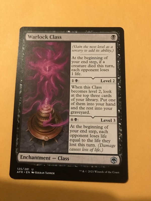 WARLOCK CLASS : Magic the Gathering MtG / Adventures in Forgotten Realms