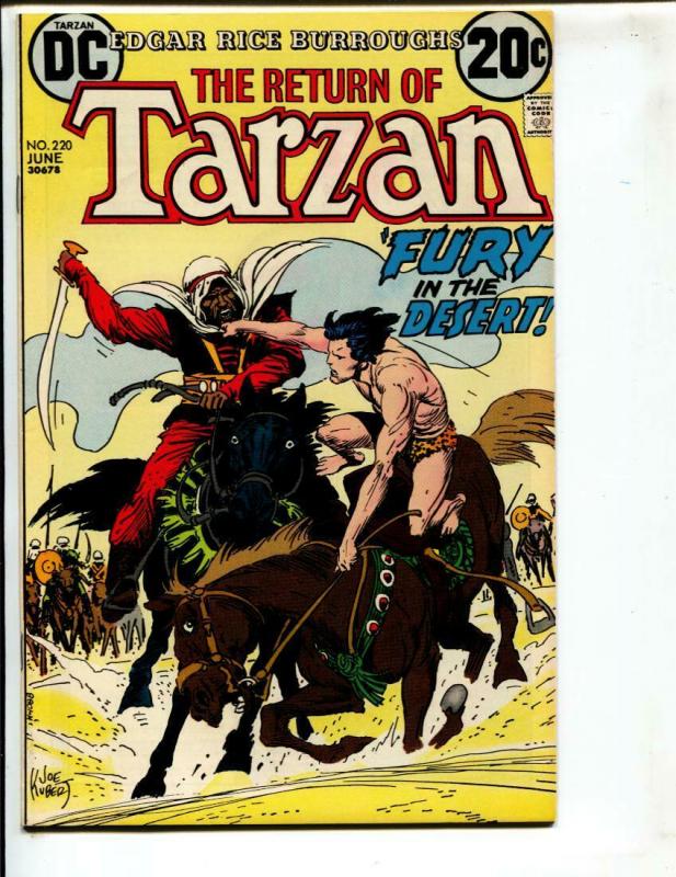 Tarzan-#220-1973-DC-BRONZE-AGE-Joe Kubert-NM-