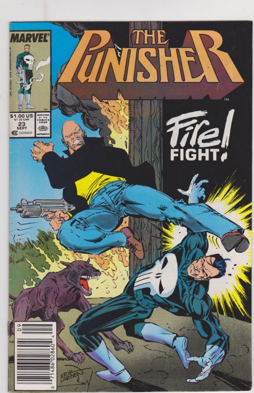 Punisher #23