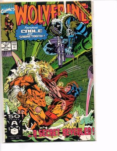 Marvel Comics Wolverine #41 Larry Hama Marc Silvestri NM Sabretooth 1st print