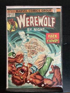 Werewolf by Night #22 (1974)