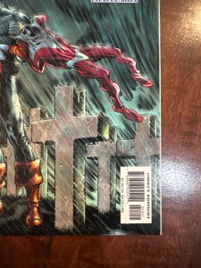 Captain America & the Falcon #14 (2005)