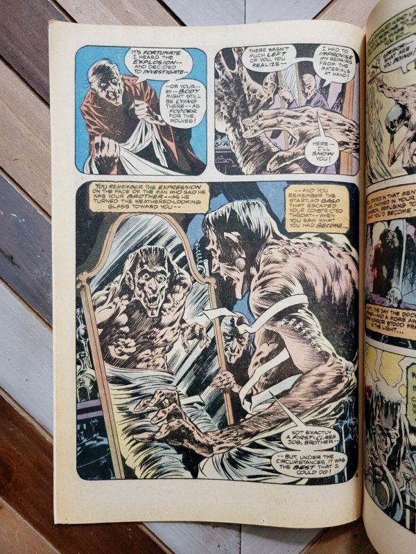 DC Special Series #14 VF 8.0 (1978) SWAMP THING Stories BERNIE WRIGHTSON Covers