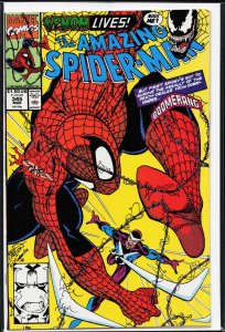 The Amazing Spider-Man #345 (1991) Spider-Man