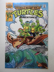 Teenage Mutant Ninja Turtles Adventures #17 (1991) Beautiful NM- Condition!