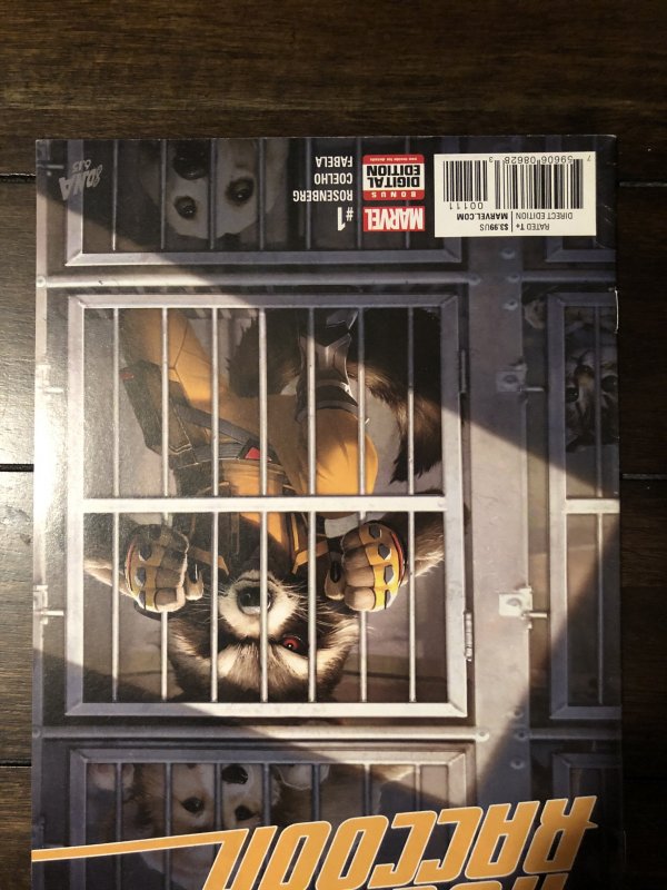 Rocket Raccoon #1
