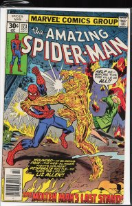 The Amazing Spider-Man #173 (1977) Spider-Man