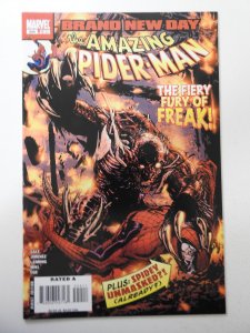 The Amazing Spider-Man #554 (2008)