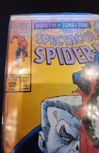 The Spectacular Spider-Man #206 (1993)