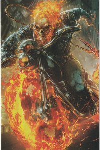 Ghost Rider # 4 Battle Lines Variant NM Marvel 2018 [S9]