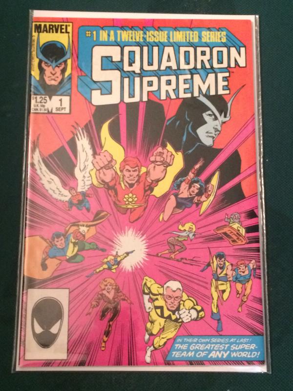 Squadron Supreme #1