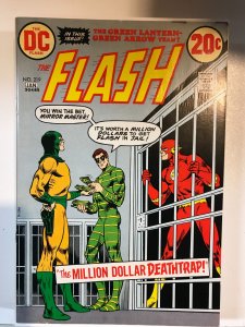 The Flash #219 (1973) VF