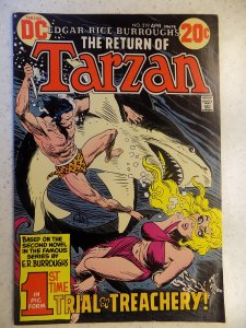 TARZAN # 219 DC JUNGLE ACTION ADVENTURE KUBERT ART BURROUGHS